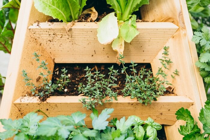 How To Grow Herbs |  A couple is cooking