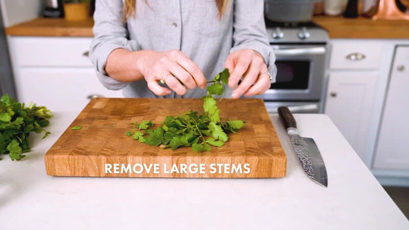 How to cut cilantro |  Remove large stems