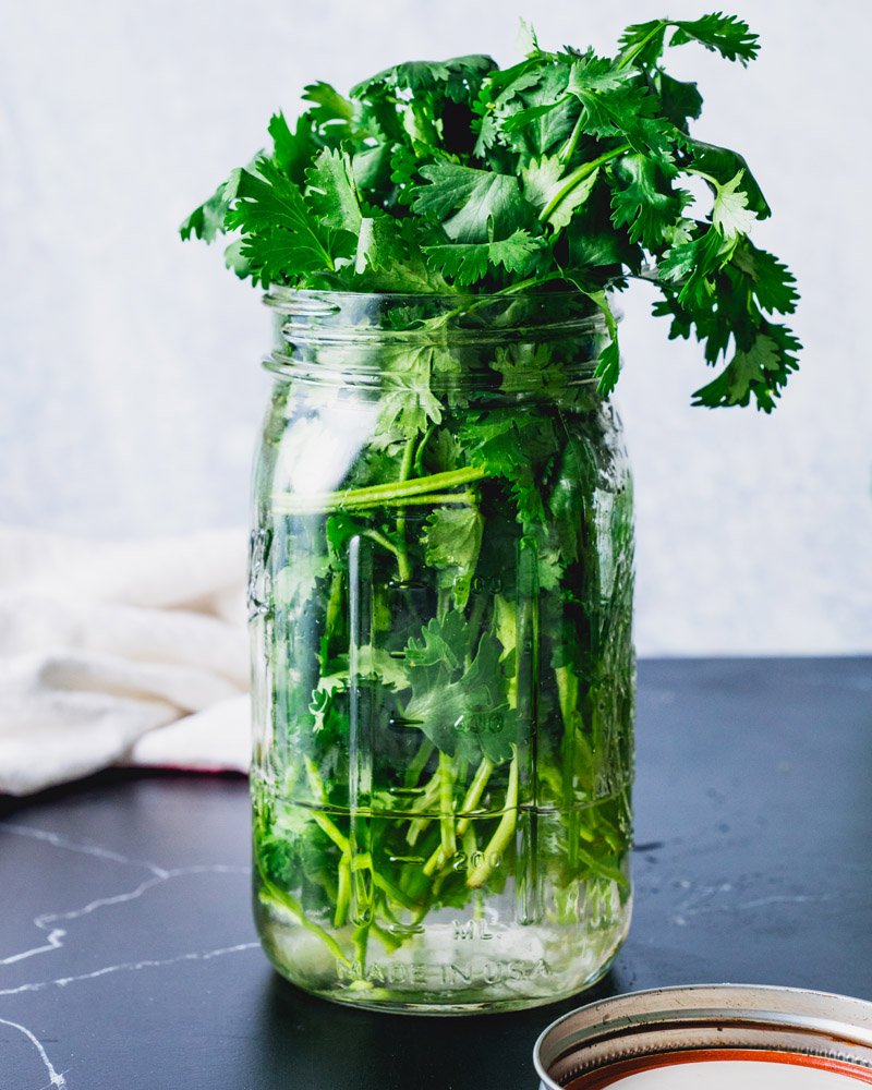 Save cilantro