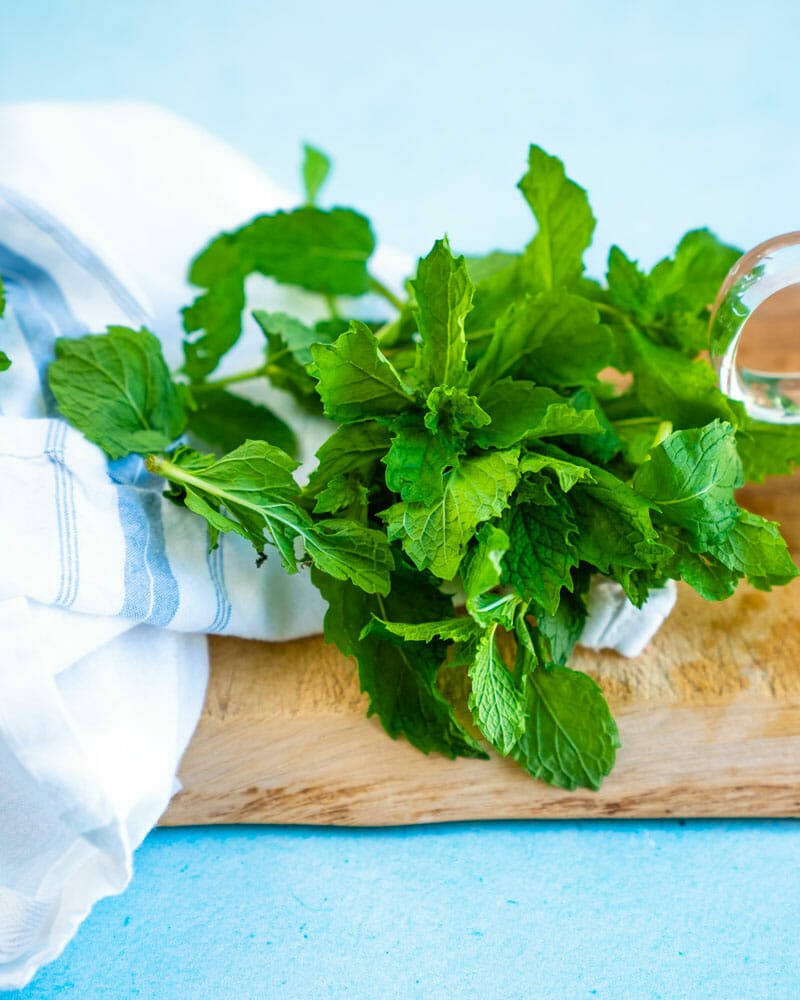 Mint: peppermint and spearmint