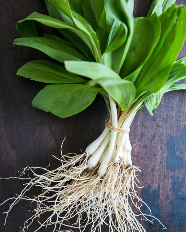 A bunch of ramps