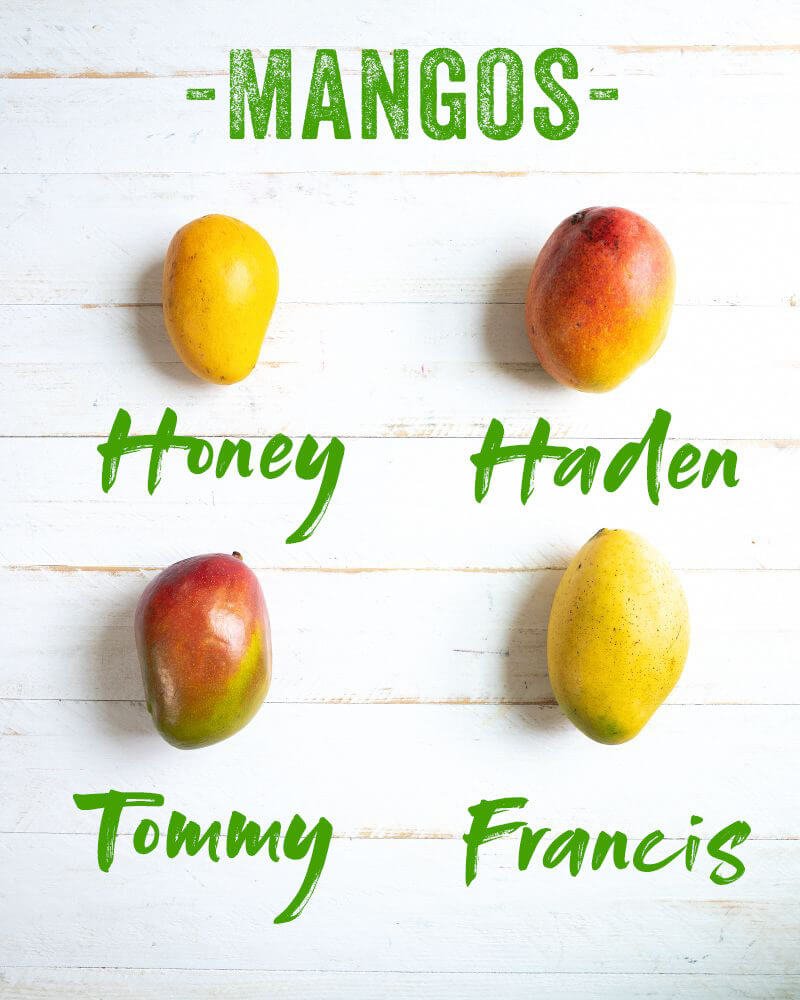 Mango Varieties |  honey mango